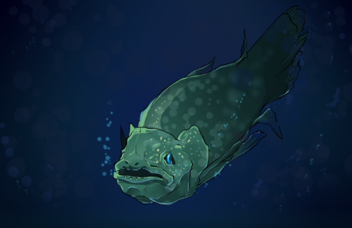The Coelacanth